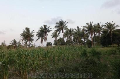 For Sale 12 Acre Agricultural Land Kikambala.