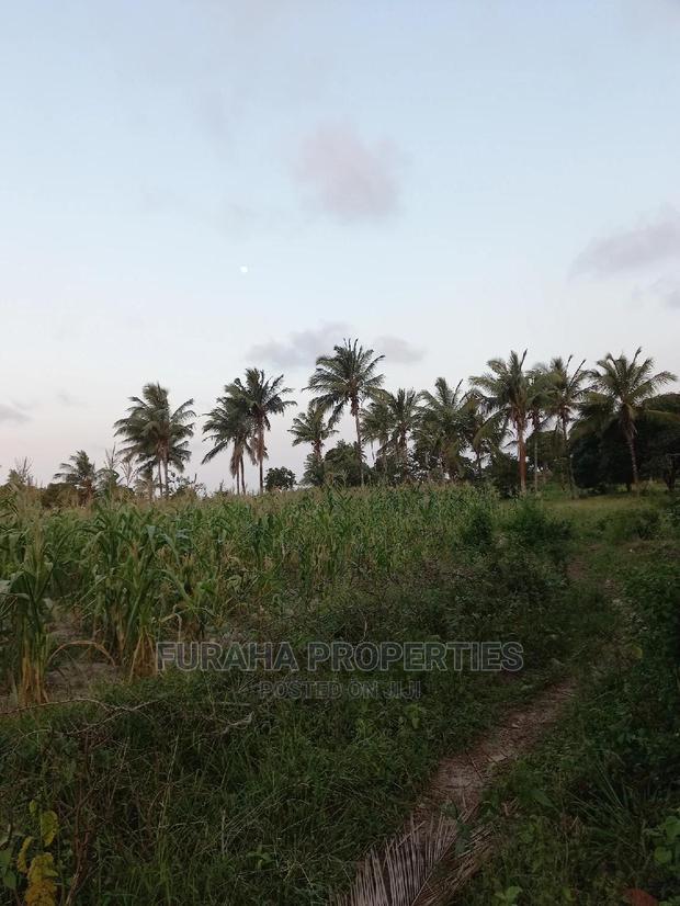 For Sale 12 Acre Agricultural Land Kikambala.