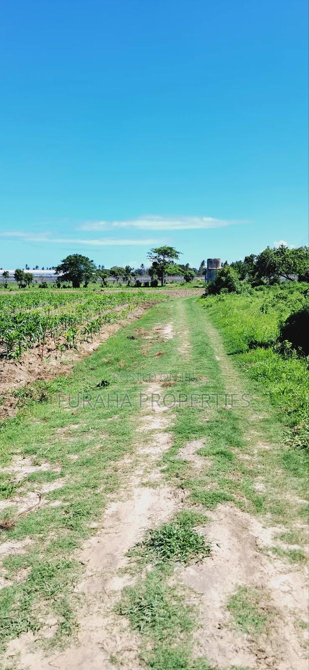 For Sale 80 Acres Land Vipingo