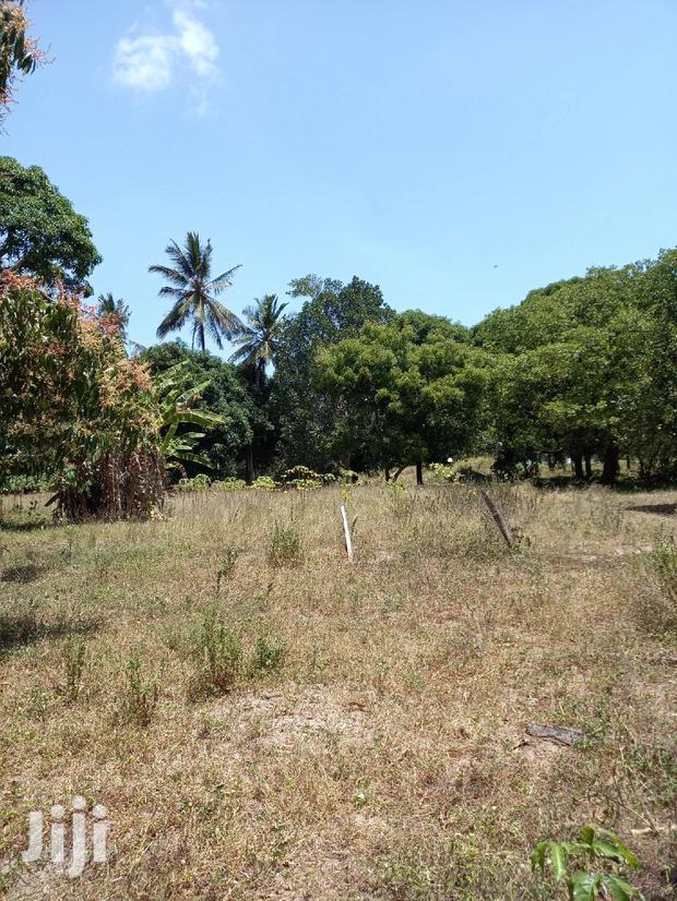 For Sale 5 Acre Agricultural Land Kikambala