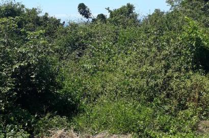 For Sale 1 Acre Plot Vipingo Ridge