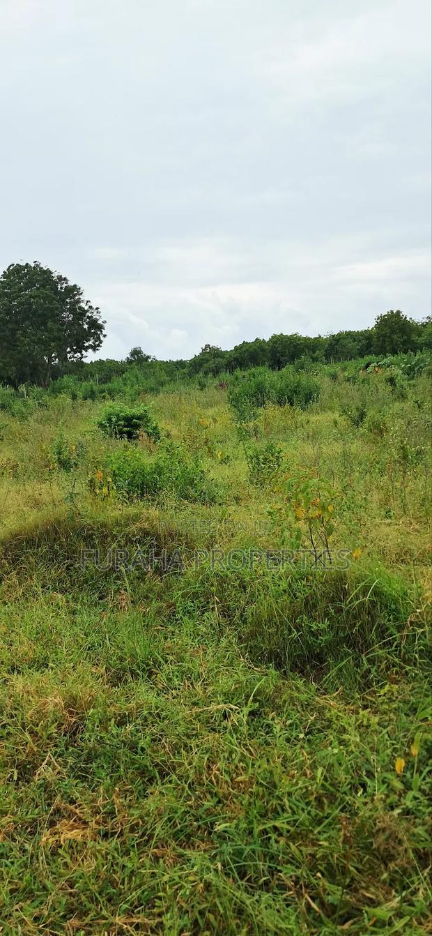 For Sale 4 Acre Prime Land Vipingo