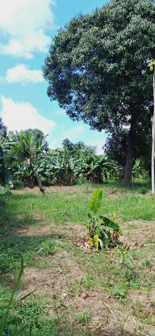 For Sale Quater Acre Plot Mtwapa.