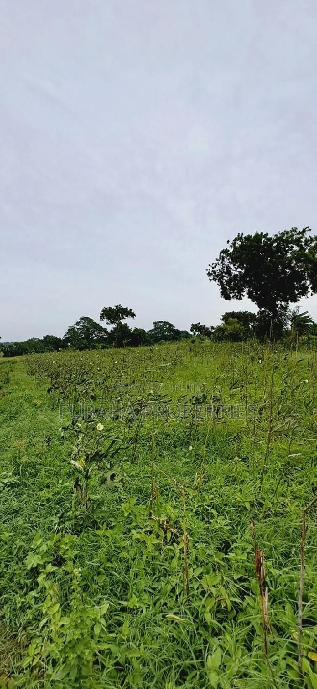 For Sale Several Eighth Acres Plots