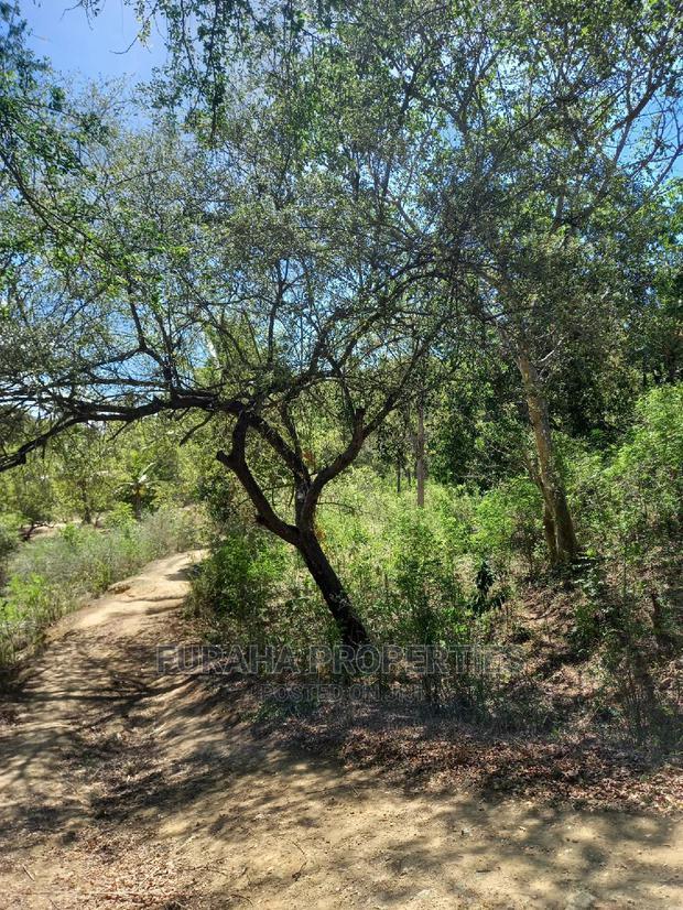 For Sale Quater Acre Several Creek Plots Mtwapa.
