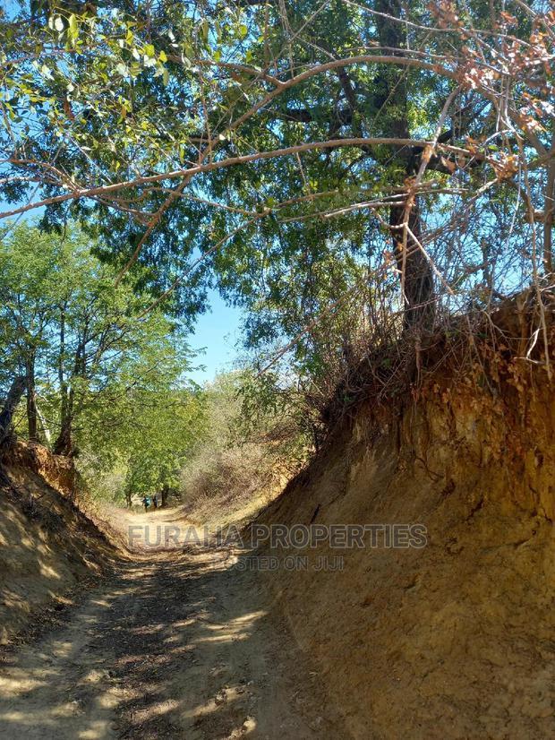 For Sale Quater Acre Several Creek Plots Mtwapa.