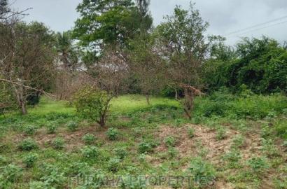 For Sale 4 Acre Agricultural Land Kikambala