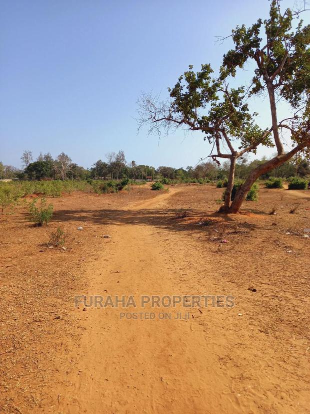 For Sale 4 Acre Land Mtapa
