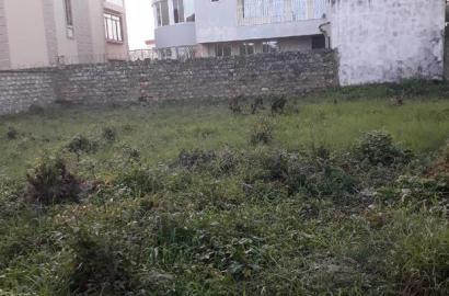 For Sale Quater Acre Plots Shanzu