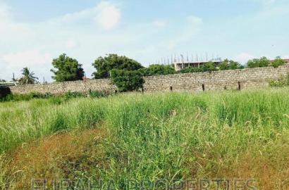 Half Acre Prime Land Nyali.