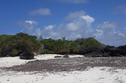 For Sale 5 Acres Beach Land Malindi