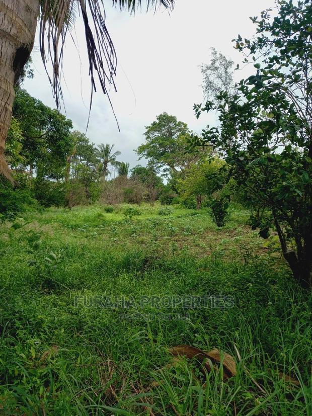 For Sale 4 Acre Agricultural Land Kikambala