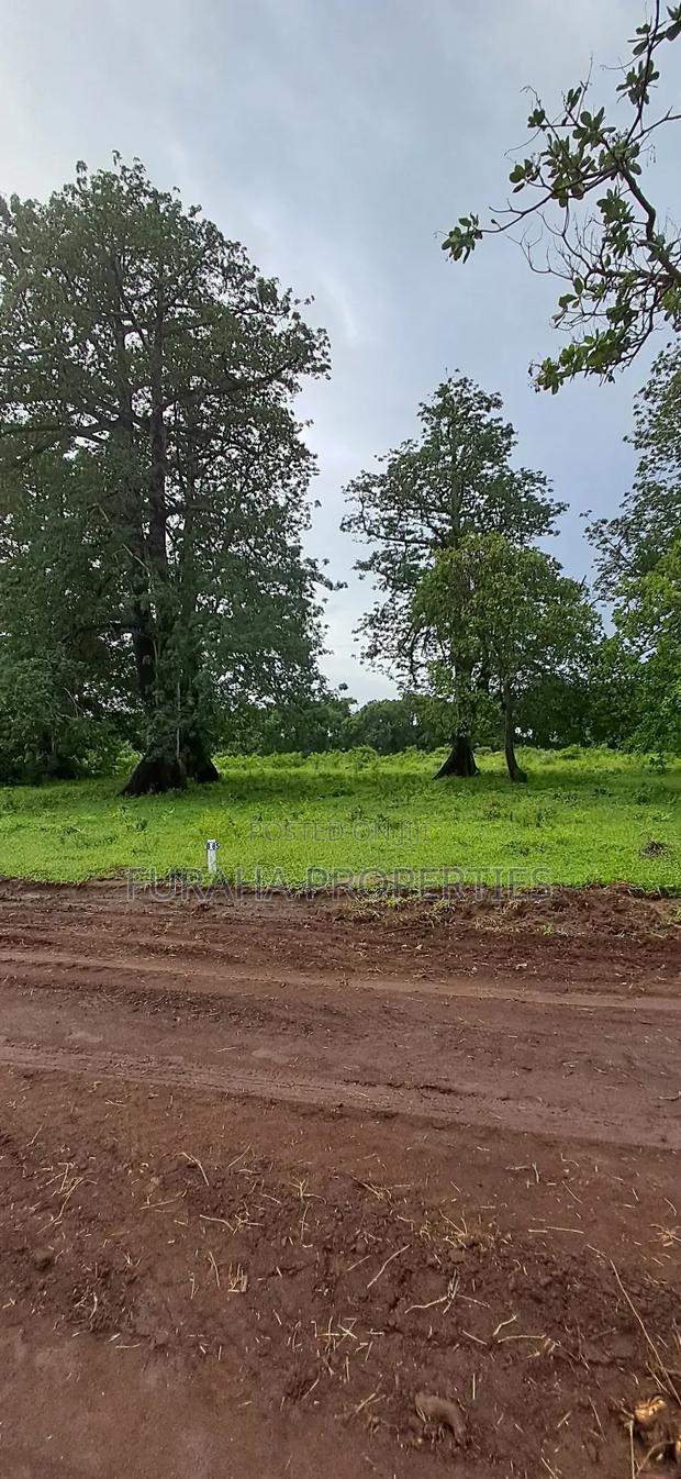 For Sele Quater/Half Acre Plots Vipingo