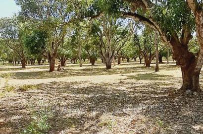 For Sale One Acre Land Mtwapa