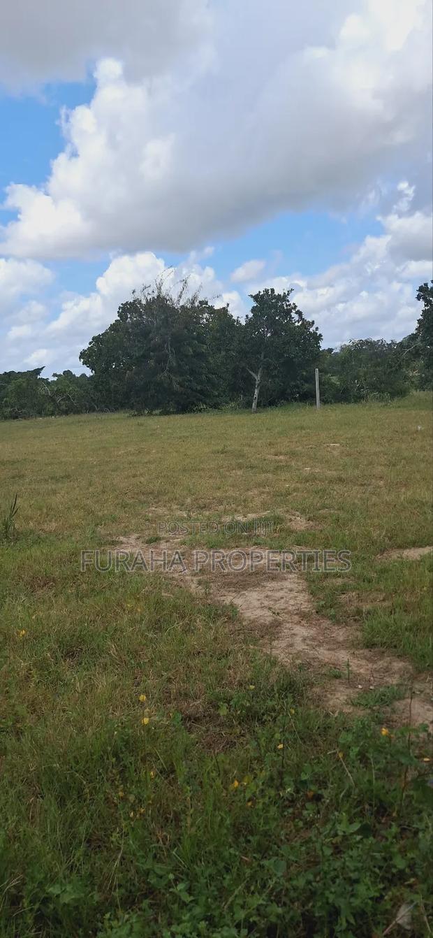 For Sale 1.1acre Land Dongo Kundu Bypass