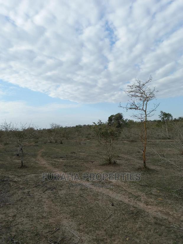 For Sale 100 Acre Ranch Kwale