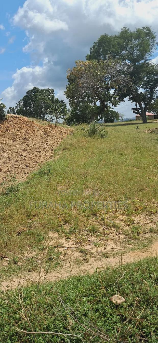 For Sale 1.1acre Land Dongo Kundu Bypass