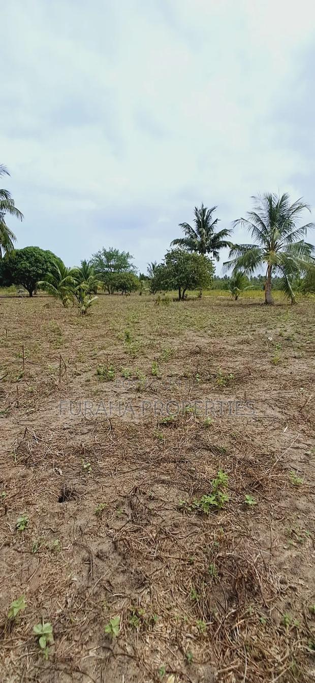 For Sale 2 Acres Land Msambweni