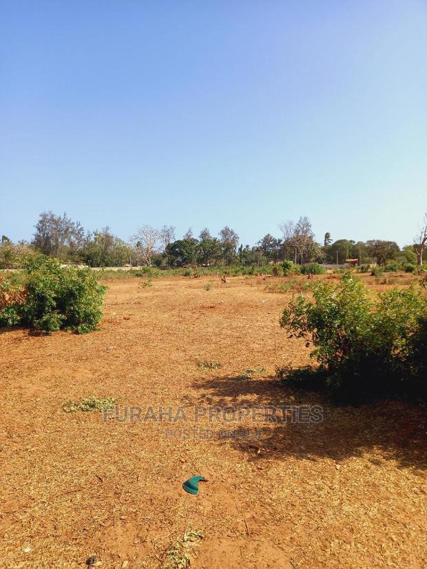 For Sale 4 Acre Land Mtapa
