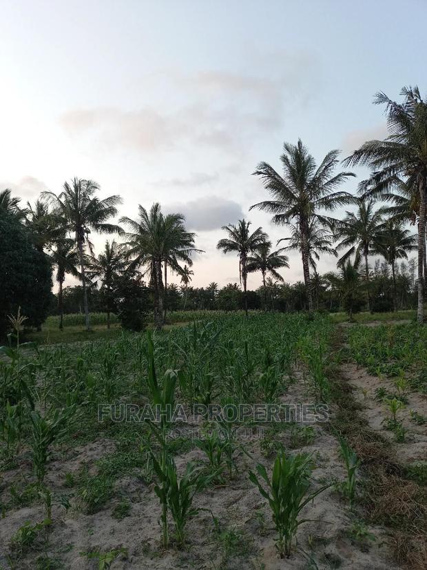 For Sale 12 Acre Agricultural Land Kikambala.