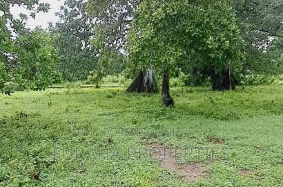 For Sele Quater/Half Acre Plots Vipingo