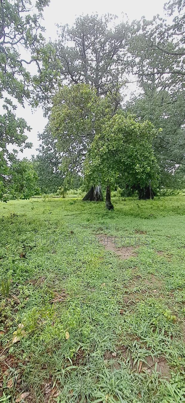 For Sele Quater/Half Acre Plots Vipingo