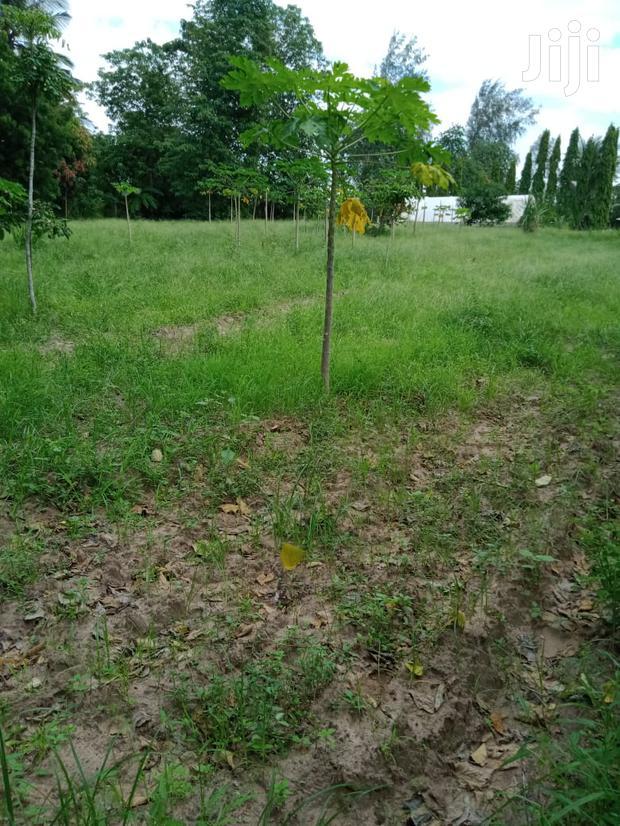 For Sale 2 Acres Agricultural Land Mtwapa