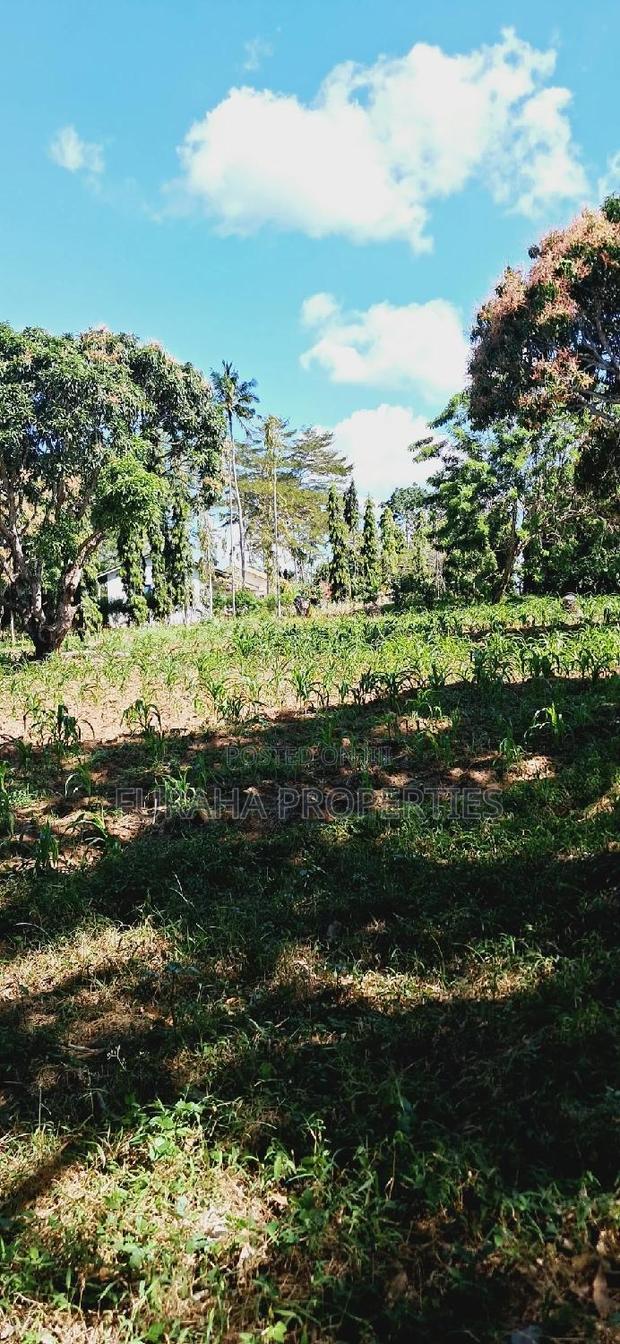 For Sale 10 Acres Agricultural Land