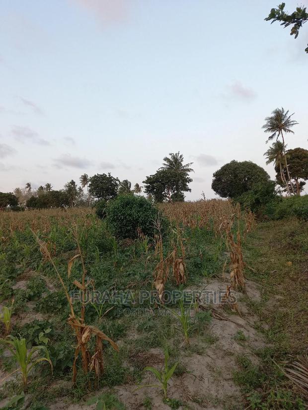 For Sale 12 Acre Agricultural Land Kikambala.