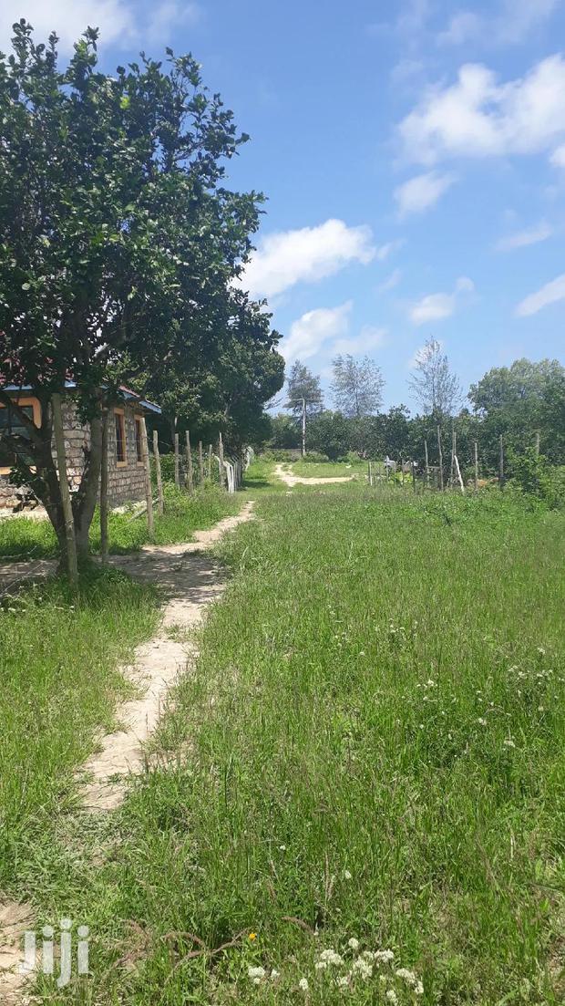For Sale Quater Acres Plots Mtepeni Mtwapa