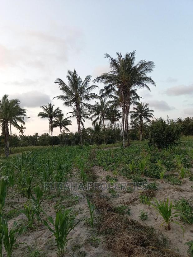 For Sale 12 Acre Agricultural Land Kikambala.