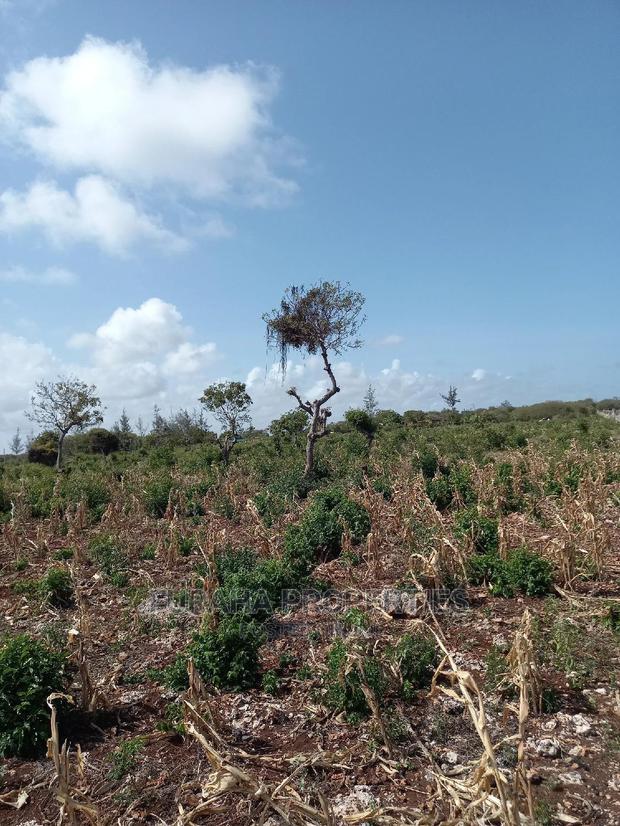 For Sale 16 Acres 4th Raw Beach North Coast