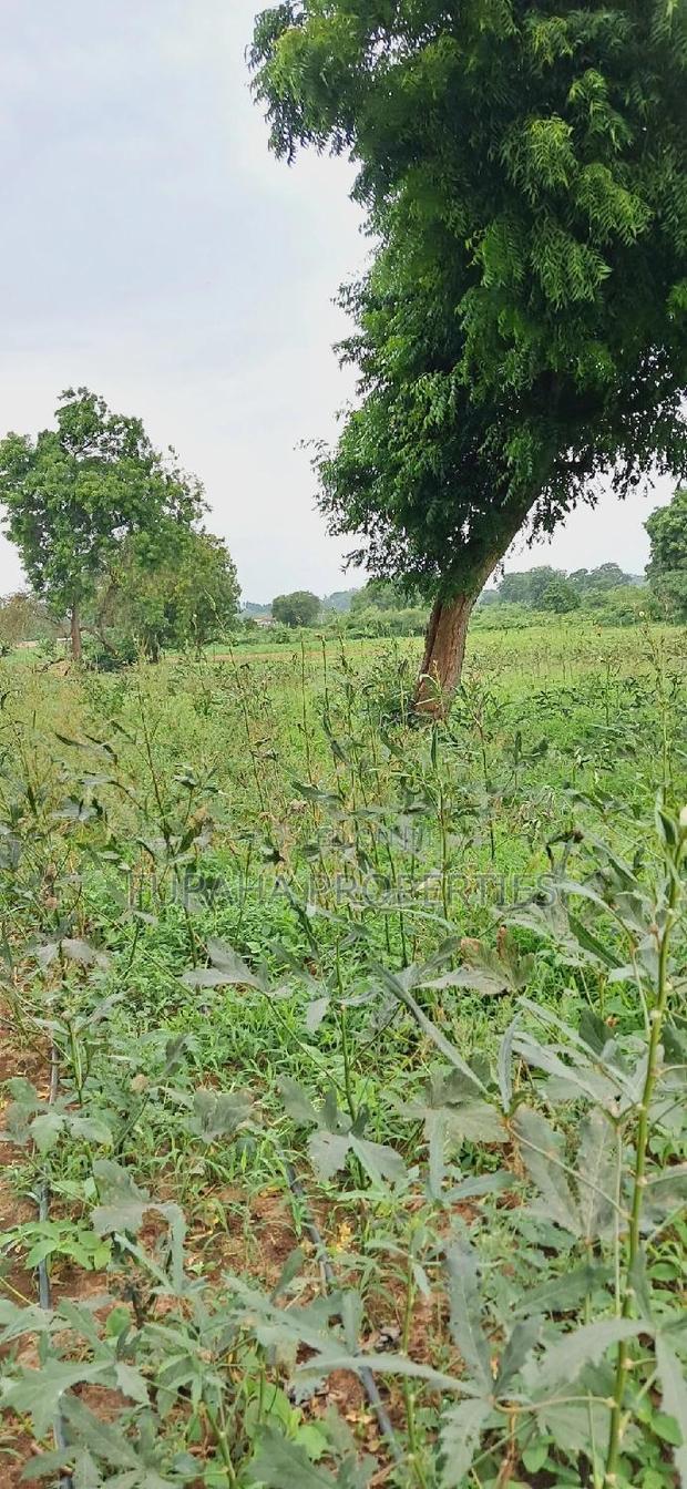 For Sale Several Eighth Acres Plots