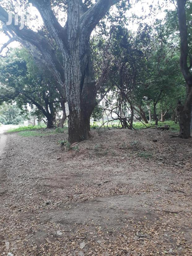 For Sale Several Quater Acre 2nd Raw Beach Plots Mtwapa.
