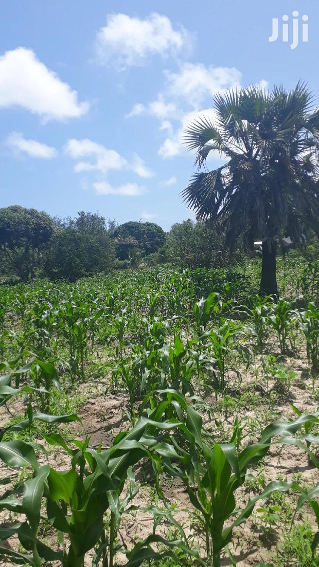 For Sale Quater Acres Plots Mtepeni Mtwapa
