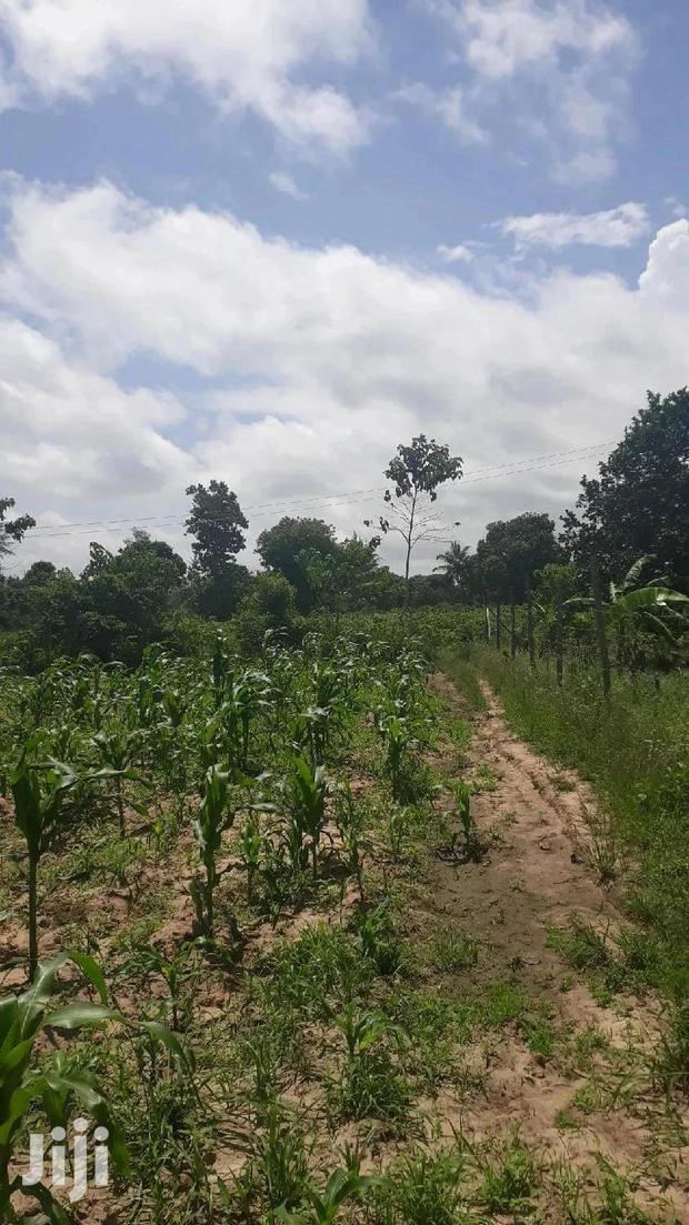 For Sale Quater Acres Plots Mtepeni Mtwapa