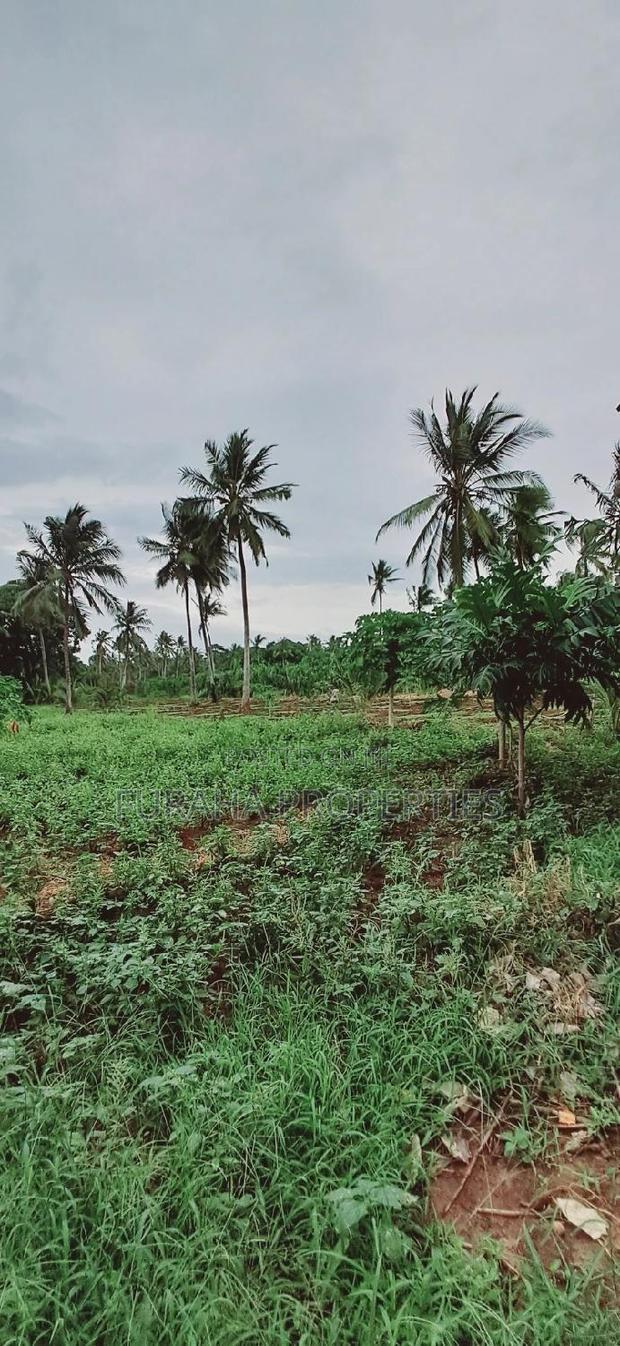 For Sale 9.5 Acre Agricultural Land Vipingo