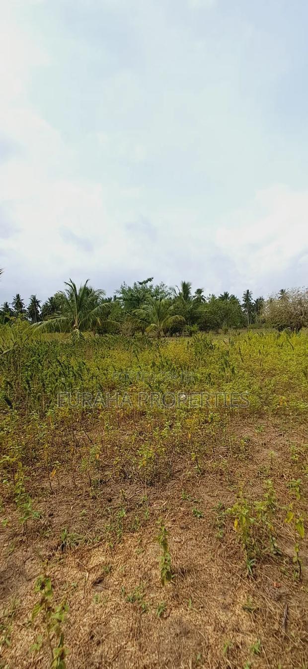 For Sale 2 Acres Land Msambweni