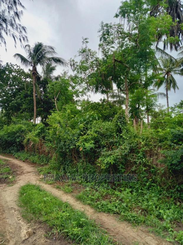 For Sale 4 Acre Agricultural Land Kikambala