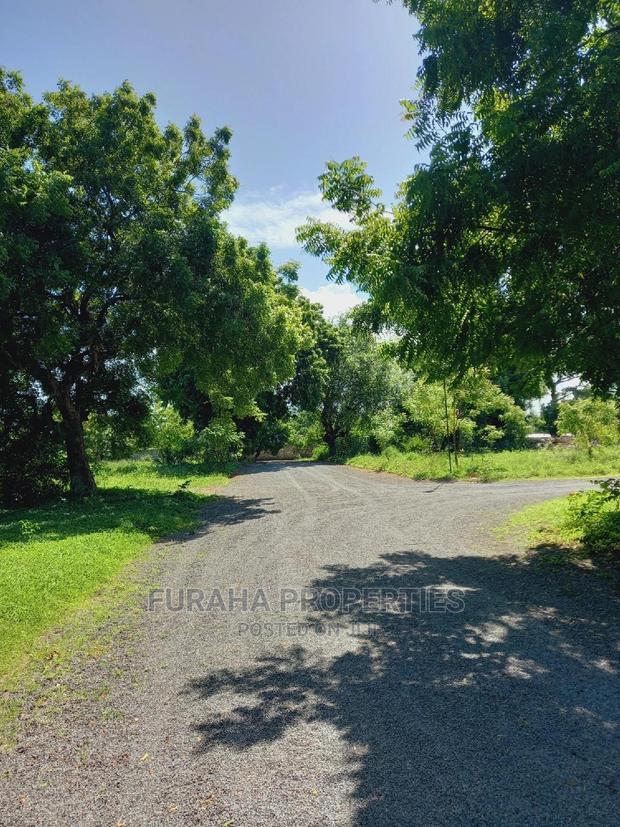 For Sale Quater/Half Acre Plots Mtwapa
