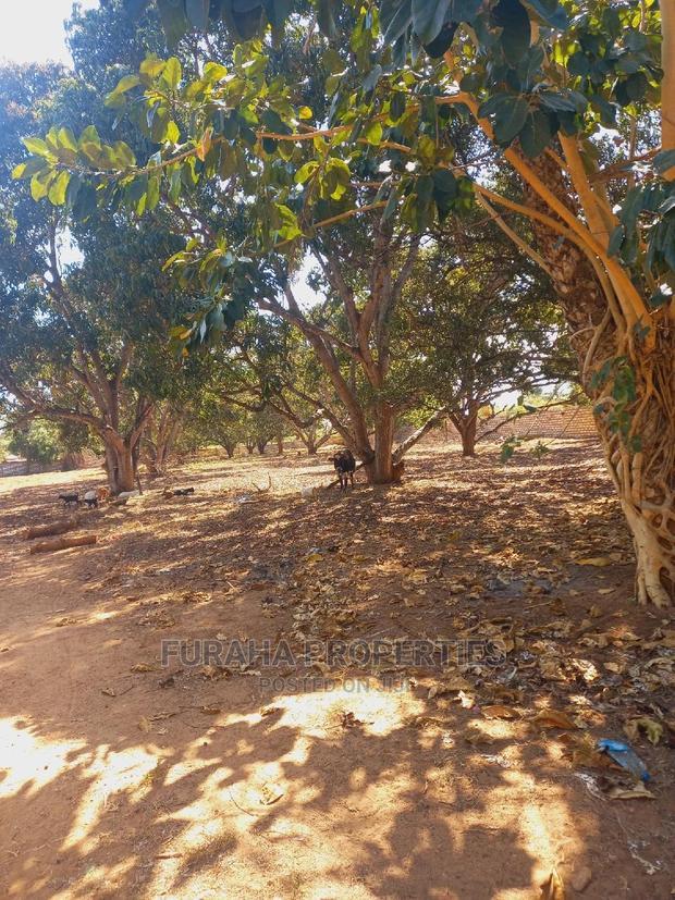 For Sale 3 Acres Poultry Farm Malindi.