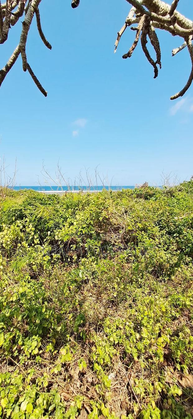 For Sale Quater Acre Beach Plots Vipingo