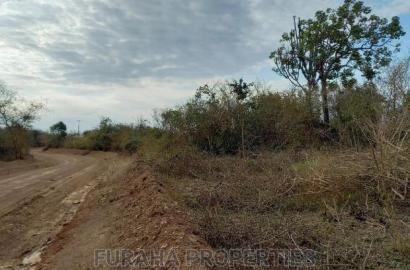 For Sale 100 Acre Ranch Kwale