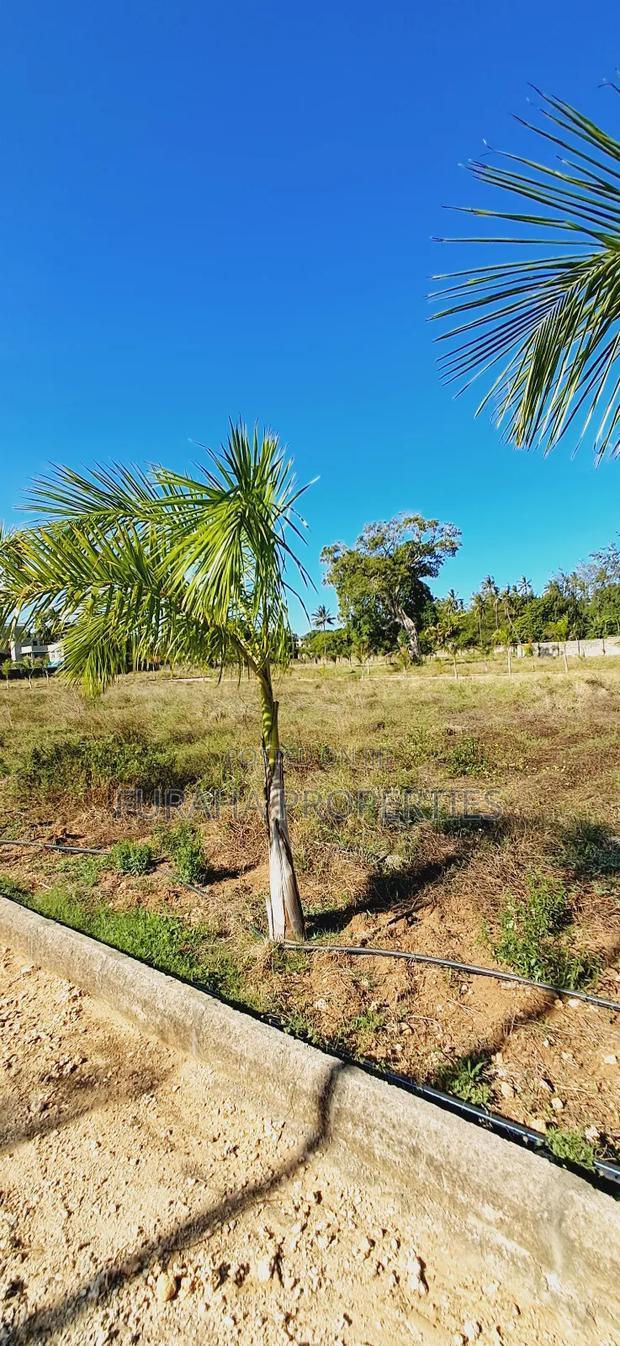 For Sale Eighth Acre Plots Mtwapa