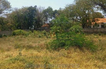 For Sale Half Acre Prime Plots Nyali
