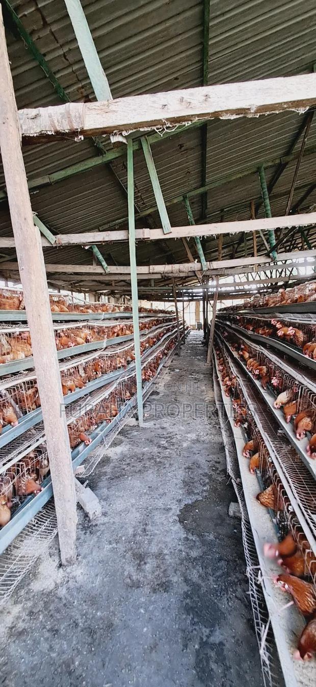 For Sale 3 Acres Poultry Farm Kikambala
