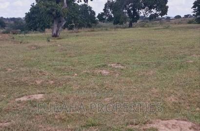 For Sale 1.1acre Land Dongo Kundu Bypass