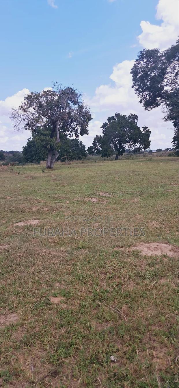 For Sale 1.1acre Land Dongo Kundu Bypass