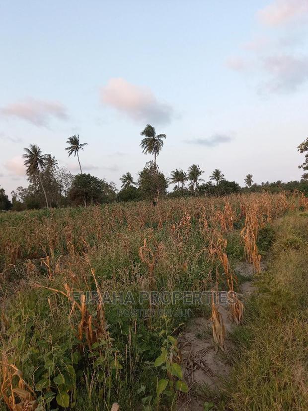 For Sale 12 Acre Agricultural Land Kikambala.