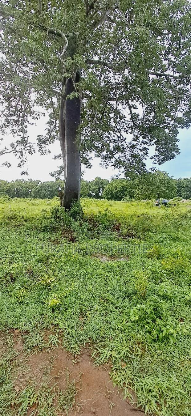 For Sele Quater/Half Acre Plots Vipingo